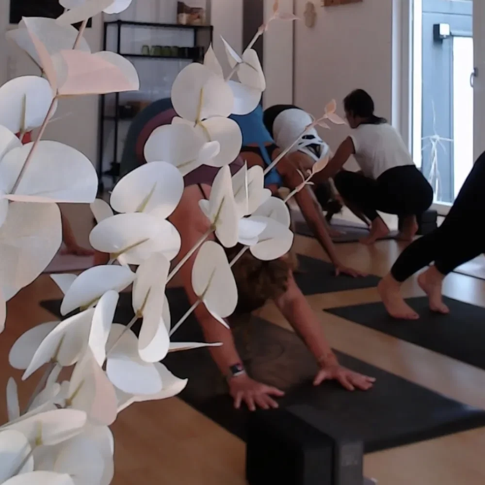 Personal Yoga Mainz, JGA & Teamevents | kerstin.yoga 1 Yoga + Pilates Harxheim bei Mainz + online live