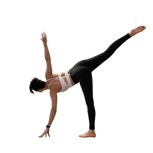 Yoga + Pilates Harxheim bei Mainz + online live