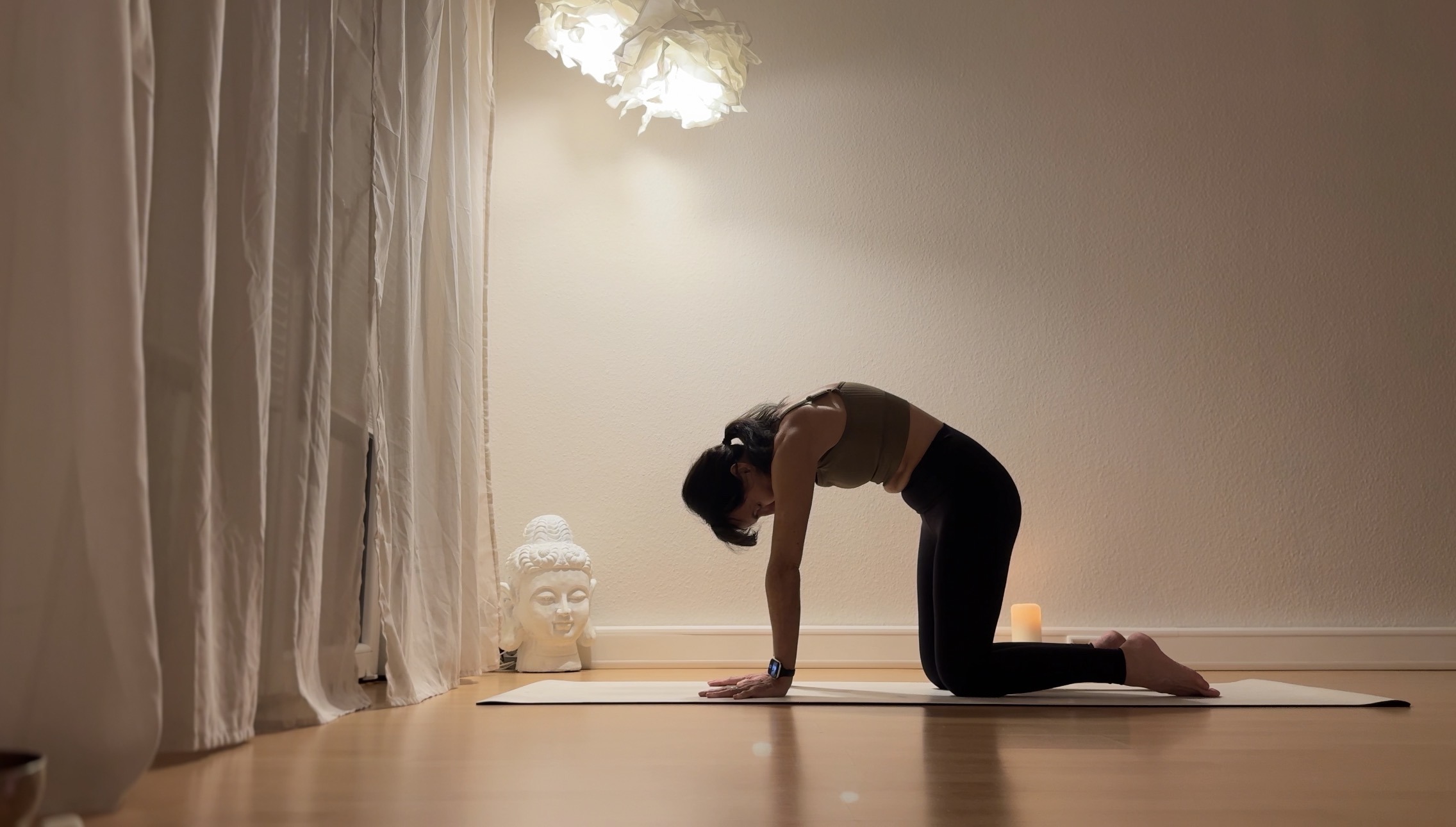 kerstin.yoga Katze