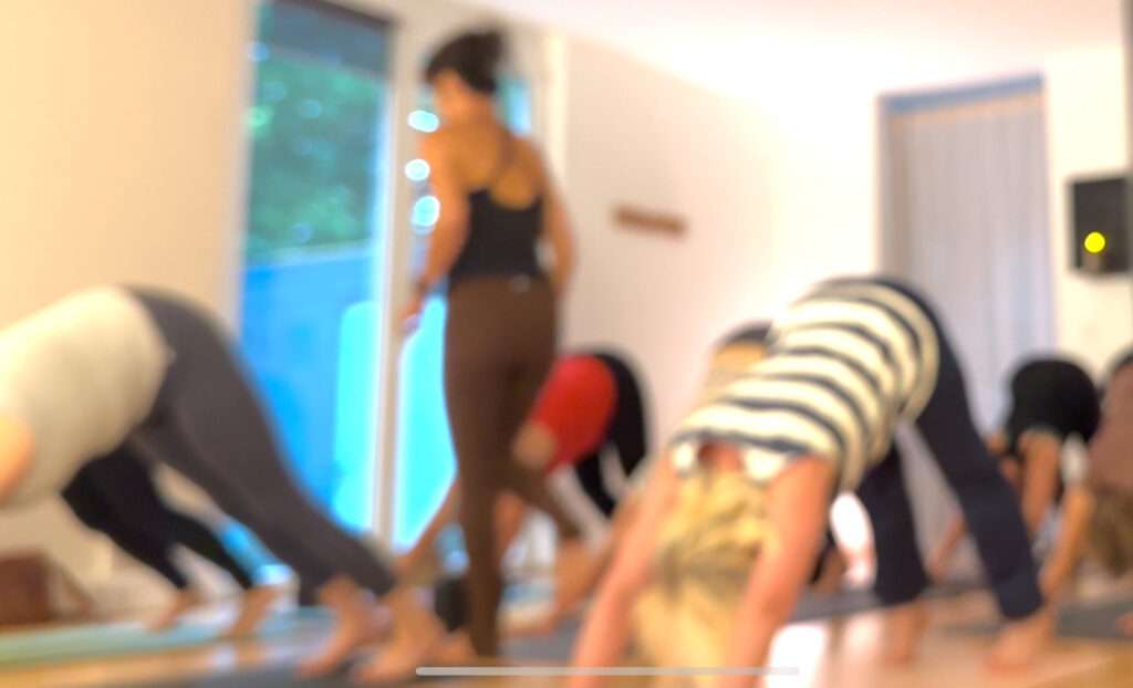 Yoga in Harxheim – Yoga für Anfänger und Fortgeschrittene 6 Yoga in Harxheim für Anfänger und Fortgeschrittene - Bild aus einer Gruppenstunde