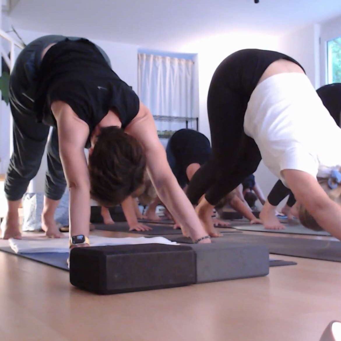 kerstin.yoga – Yoga + Pilates in Harxheim bei Mainz 1 Herabschauender Hund - Gruppenstund ebei kerstin.yoga in Harxheim